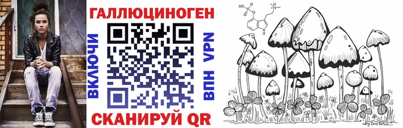 как найти закладки  Ленинск  Галлюциногенные грибы Cubensis 