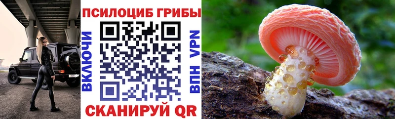 Псилоцибиновые грибы Magic Shrooms Ленинск